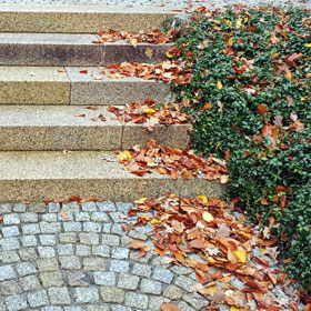 Herumliegendes Laub auf einer Gartentreppe