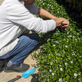 Eingeschäumte Fassadenfläche wird mit Wischgummi abgezogen