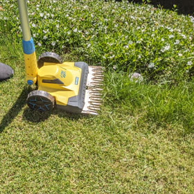 Rasen Randschnitt mit Akku-Schneidegerät