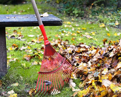 Buntes Laub auf Rasen mit rotem Rechen